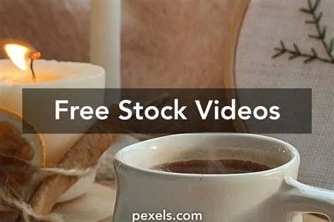 Free Scat Stock Video Footage & B